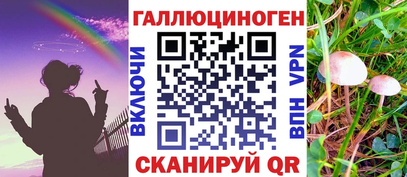 MEGA ТОР  Тутаев  Галлюциногенные грибы Cubensis 